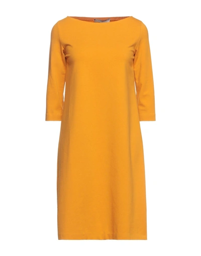 Shop Circolo 1901 Short Dresses In Apricot
