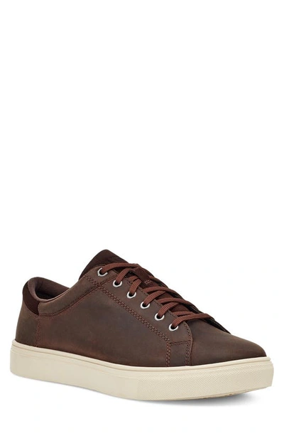 Shop Ugg Baysider Waterproof Sneaker In Grizzly Leather
