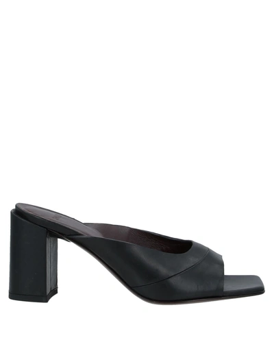 Shop Hazy Woman Sandals Black Size 11 Cowhide