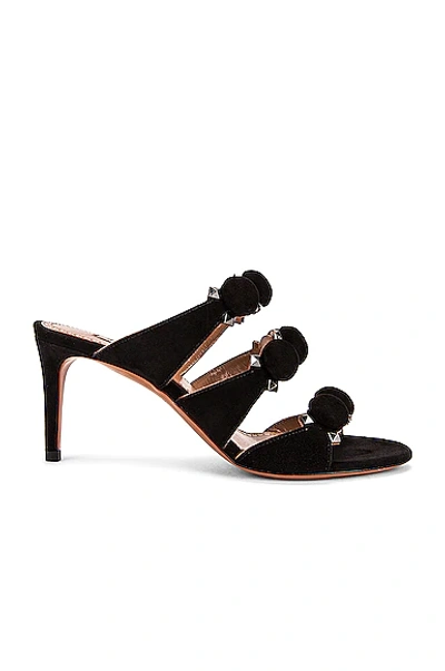 Shop Alaïa Pom Pom Studded Mules In Noir