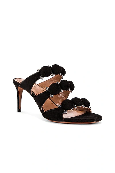 Shop Alaïa Pom Pom Studded Mules In Noir