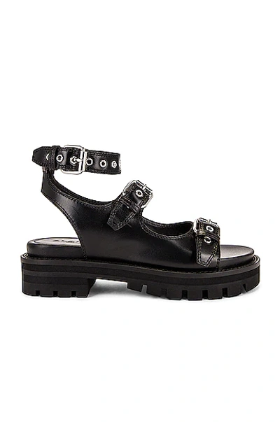 Shop Alaïa Buckle Sandals In Noir