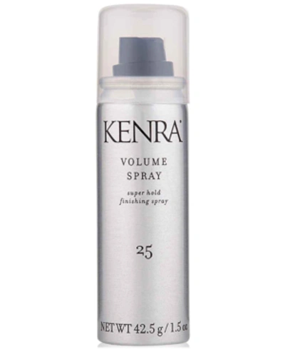 Kenra Professional Volume Spray 25 55%, From Purebeauty Salon & Spa
