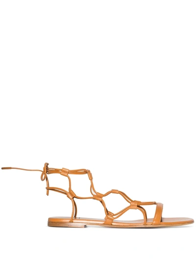 Shop Gianvito Rossi Flat Cage Sandals In Brown