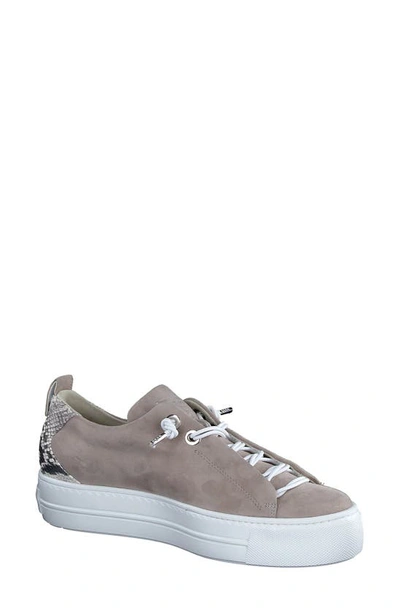 Shop Paul Green Faye Sneaker In Stone Silver Pebble Python