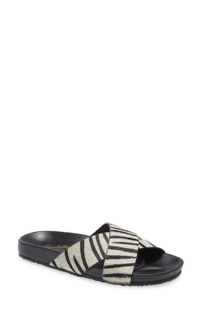 Shop Seychelles Lighthearted Slide Sandal In Zebra