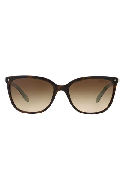 Shop Tiffany & Co 55mm Mirrored Square Sunglasses In Havana/ Blue/ Brown Gradient
