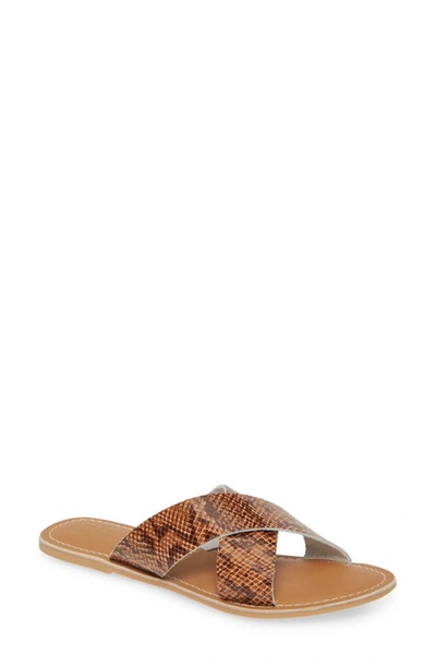 Shop Coconuts By Matisse Pebble Slide Sandal In Brown Snake Print Leather