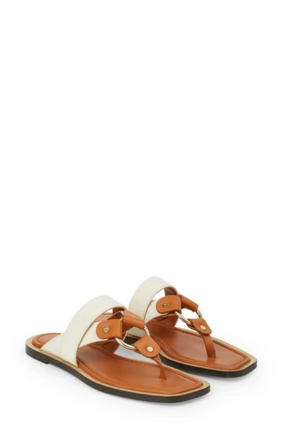 Shop Lafayette 148 Sabine Flip Flop In Natural