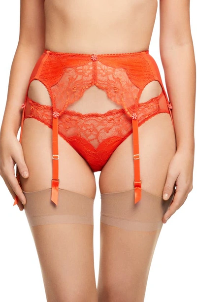 Shop Dita Von Teese Tryst Suspender Belt In Poppy