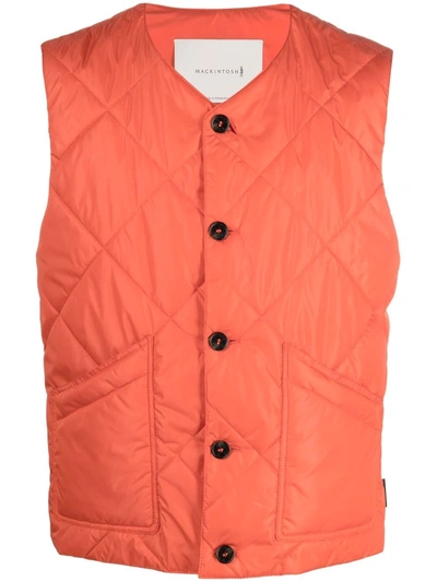 Shop Mackintosh Hig Quilted Liner Vest In Orange