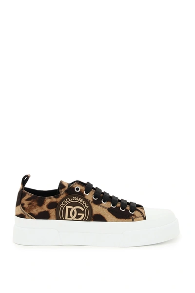 Shop Dolce & Gabbana Portofino Sneakers With Leopard Print In Leo (brown)