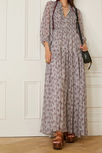 Shop Chloé Pleated Floral-print Silk-georgette Maxi Dress In Gray