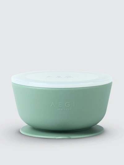 Shop Aegi New York Silicone Suction Gift Set In Sage