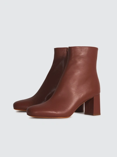 Shop Maryam Nassir Zadeh Agnes Ankle Boot In Cognac