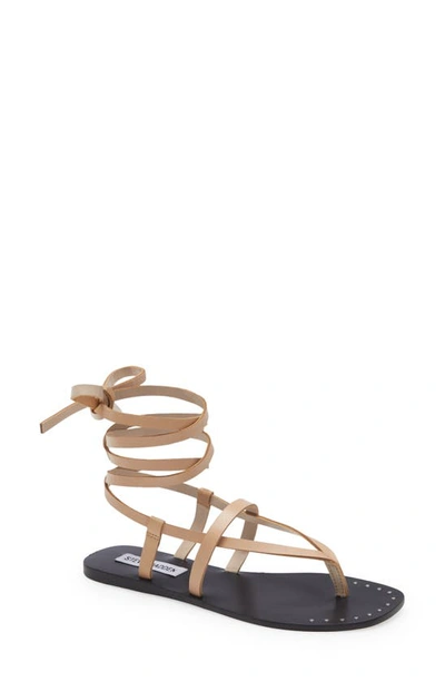 Steve Madden Seraphina Lace-up Sandal In Tan Leathe | ModeSens