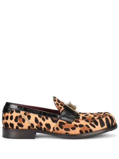 Shop Dolce & Gabbana Leopard Print Calf Hair Loafers In Brown