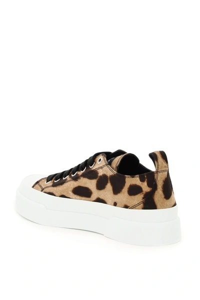 Shop Dolce & Gabbana Portofino Sneakers With Leopard Print In Brown,white,black