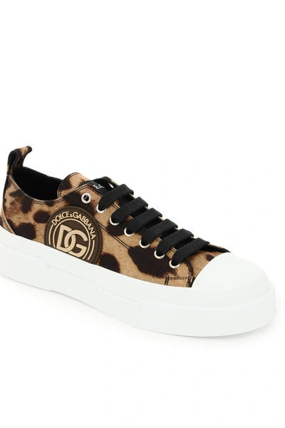 Shop Dolce & Gabbana Portofino Sneakers With Leopard Print In Brown,white,black