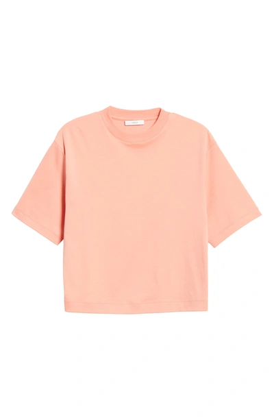 Shop Vince Wide Sleeve Crop Pima Cotton T-shirt In Coral