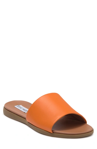 Shop Steve Madden Kailey Slide Sandal In Orange