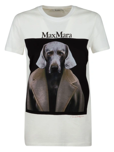 Shop Max Mara Dogstar T-shirt In White/black