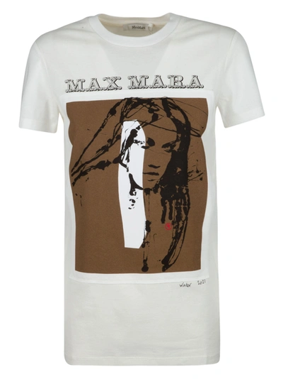 Shop Max Mara Divina T-shirt In White/brown