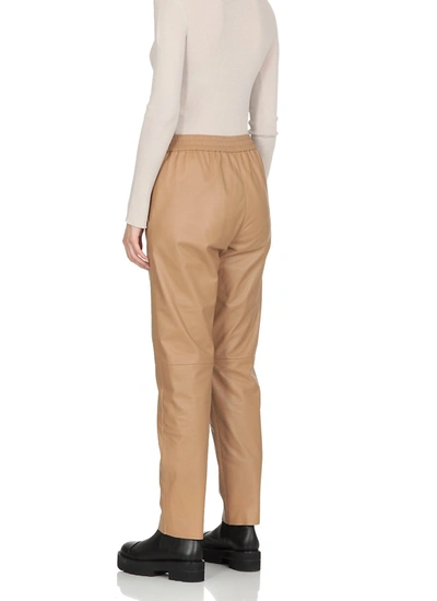 Shop Drome Trousers Camel In Cammello