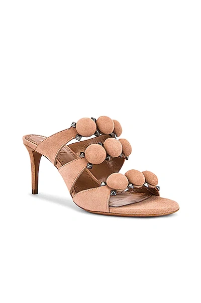 Shop Alaïa Pom Pom Studded Mules In Chair