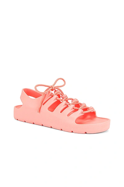 Shop Bottega Veneta Jelly Lace Up Sandals In Flamingo