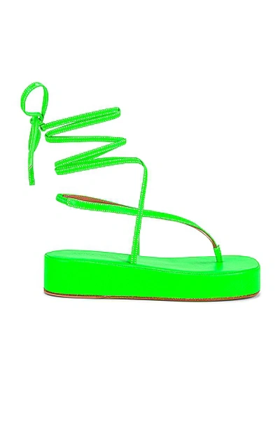 Shop Amina Muaddi Jamie Flatform Sandal In Fluo Green