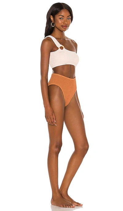 Shop Cleonie Shell One Piece In Espresso & Natural
