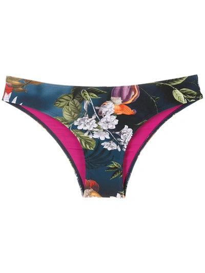 Shop Lygia & Nanny Waikiki Print Bikini Bottoms In Blau