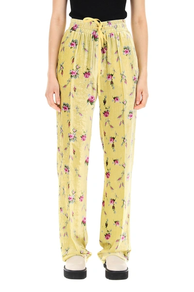 Shop Red Valentino Sweet Roses Print Velvet Trousers In Mixed Colours