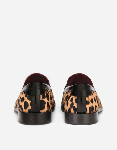 Shop Dolce & Gabbana Leopard-print Pony Hair Loafers With Branded Plate In Multicolor