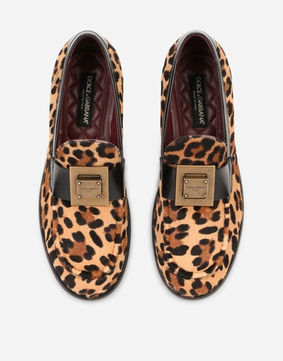 Shop Dolce & Gabbana Leopard-print Pony Hair Loafers With Branded Plate In Multicolor