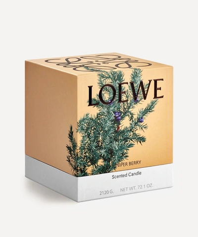 Loewe Large Juniper Berry Candle 2120g In Brown