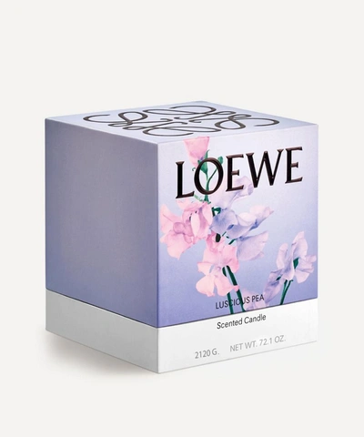 Shop Loewe Large Luscious Pea Candle 2120g In Green