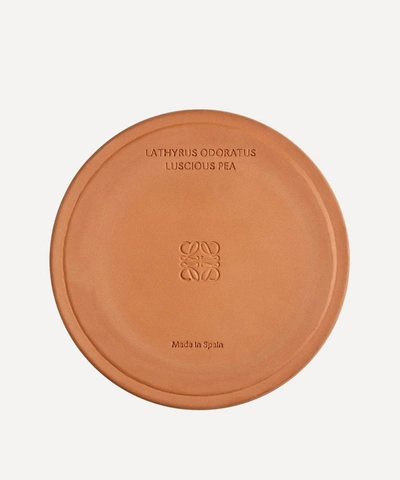Loewe Large Luscious Pea Candle 2120g In Green