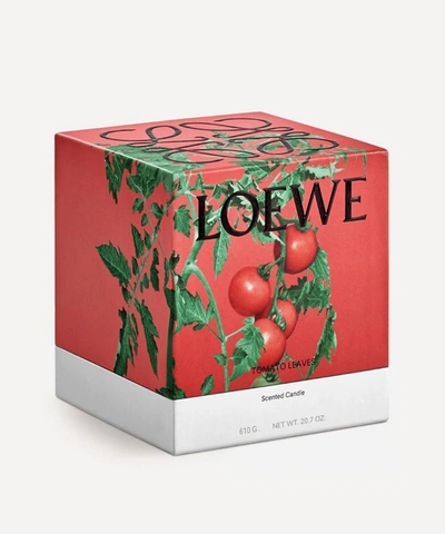 Shop Loewe Medium Tomato Leaves Candle 610g In Red