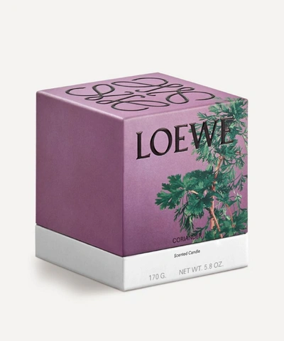 Shop Loewe Small Coriander Candle 170g In Brown
