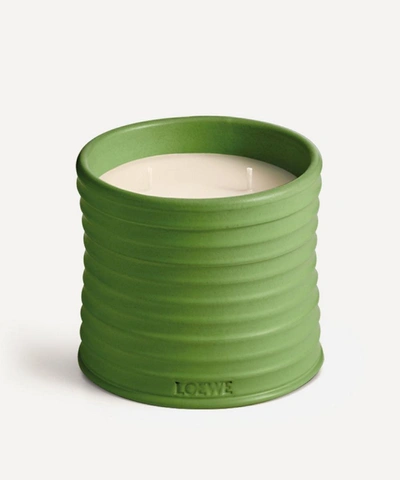 Shop Loewe Medium Luscious Pea Candle 610g In Green