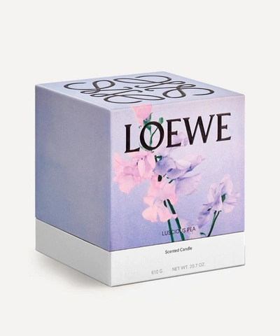 Shop Loewe Medium Luscious Pea Candle 610g In Green