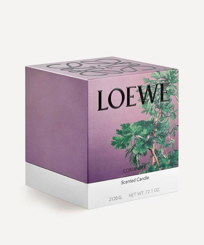 Loewe Large Coriander Candle 2120g In Brown