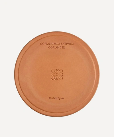Loewe Large Coriander Candle 2120g In Brown
