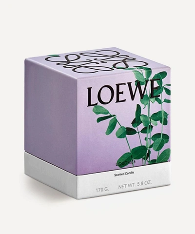 Shop Loewe Small Liquorice Candle 170g In Black