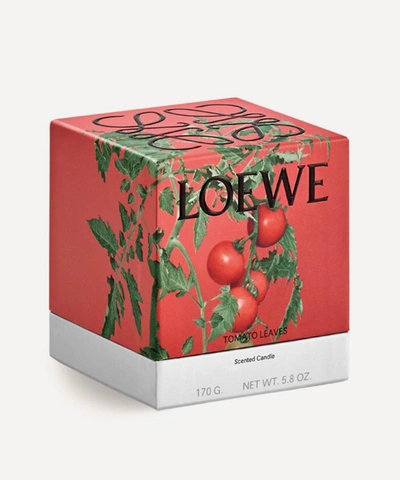 Shop Loewe Small Tomato Leaves Candle 170g In Brown