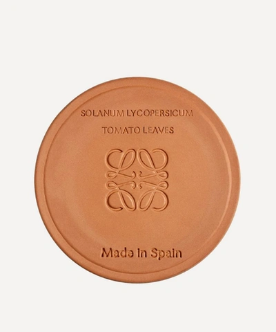 Loewe Tomato Leaves Scented Candle 170g In Brown