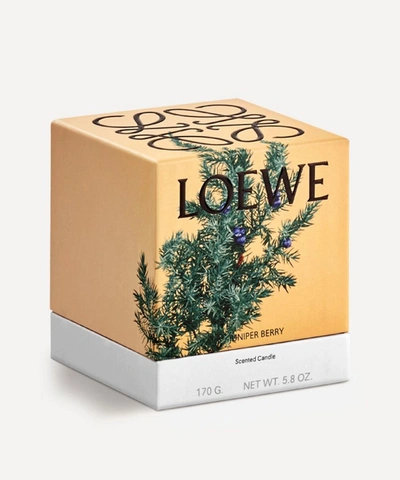 Shop Loewe Small Juniper Berry Candle 170g In Brown