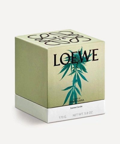 Shop Loewe Small Scent Of Marihuana Candle 170g In Green